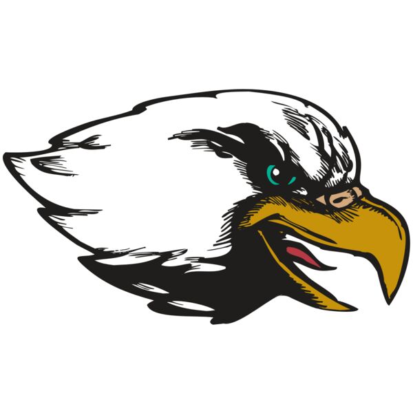 BAW EAG 09 RC Thumbnail