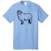 Best Selling Cotton Tee Thumbnail