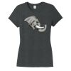 Women's Perfect® Tri Soft-Style Tee Thumbnail