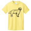 Best Selling Youth Cotton Tee Thumbnail