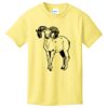Best Selling Youth Cotton Tee Thumbnail