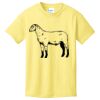 Best Selling Youth Cotton Tee Thumbnail