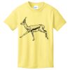 Best Selling Youth Cotton Tee Thumbnail