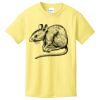 Best Selling Youth Cotton Tee Thumbnail